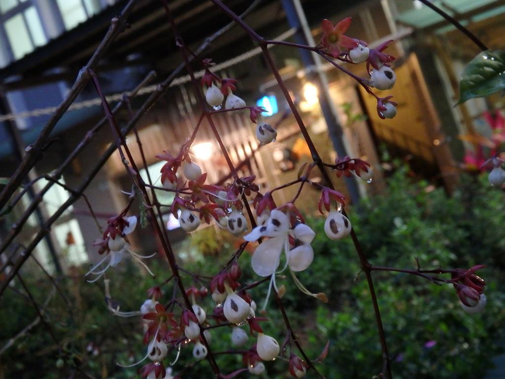 台南 哈木家旅舍 外观 照片